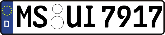 MS-UI7917