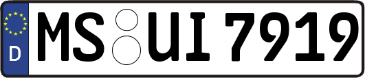 MS-UI7919