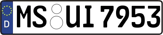 MS-UI7953