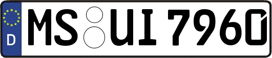 MS-UI7960