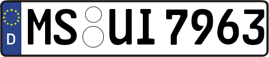 MS-UI7963