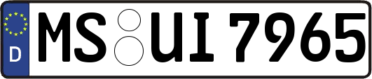 MS-UI7965