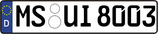 MS-UI8003