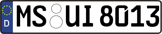 MS-UI8013