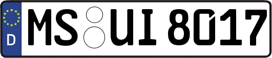 MS-UI8017