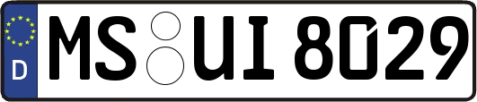 MS-UI8029