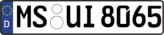MS-UI8065