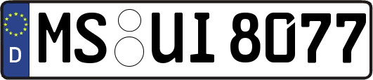 MS-UI8077