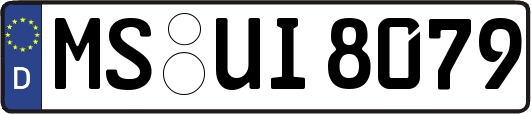 MS-UI8079