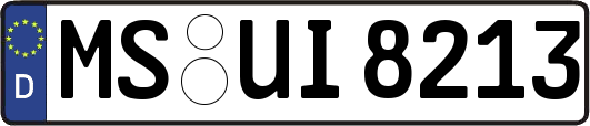 MS-UI8213