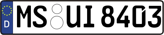 MS-UI8403