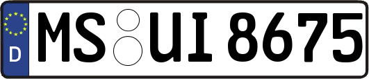 MS-UI8675