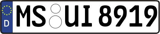 MS-UI8919