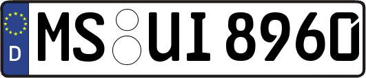 MS-UI8960