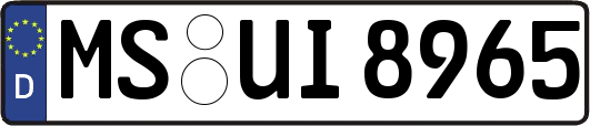 MS-UI8965