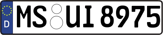 MS-UI8975