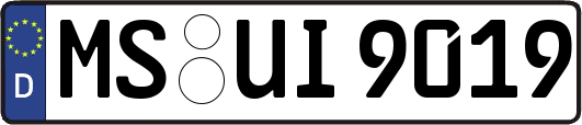 MS-UI9019