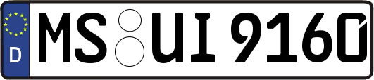 MS-UI9160