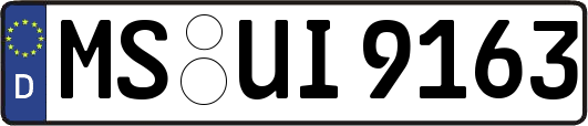 MS-UI9163
