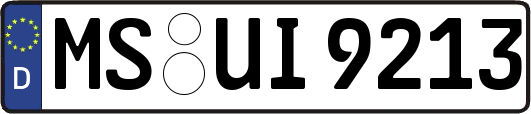 MS-UI9213