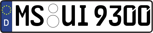 MS-UI9300