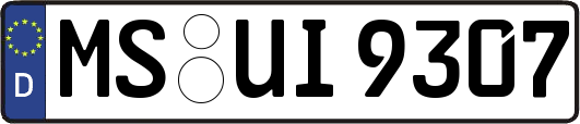 MS-UI9307