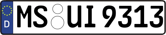 MS-UI9313