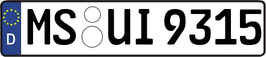 MS-UI9315