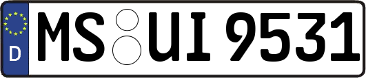 MS-UI9531