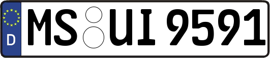 MS-UI9591