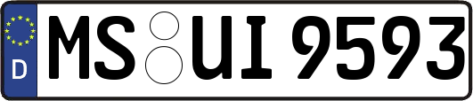 MS-UI9593