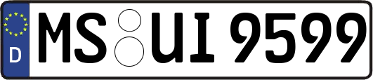 MS-UI9599