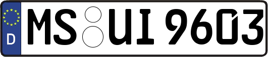 MS-UI9603