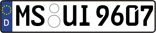 MS-UI9607