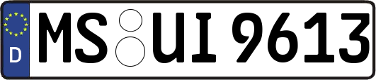 MS-UI9613