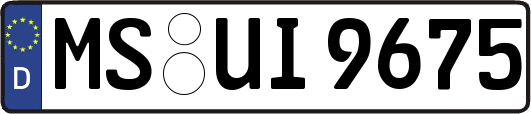 MS-UI9675