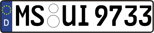 MS-UI9733
