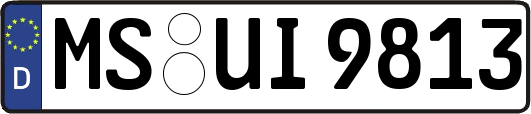 MS-UI9813