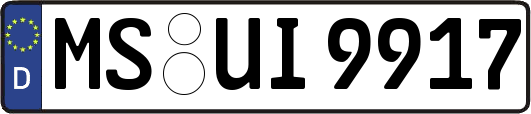 MS-UI9917