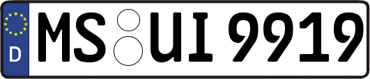 MS-UI9919