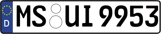 MS-UI9953