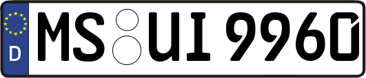 MS-UI9960