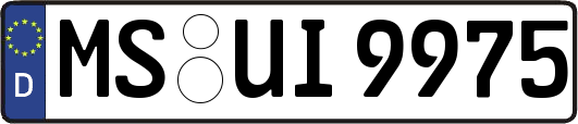 MS-UI9975