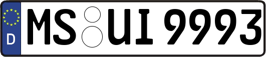 MS-UI9993