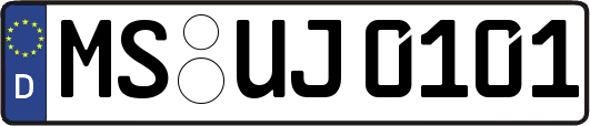 MS-UJ0101