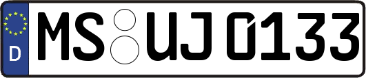 MS-UJ0133