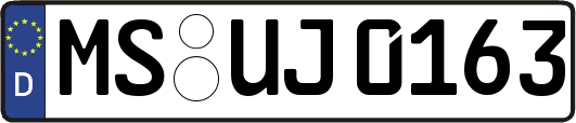 MS-UJ0163