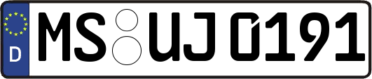 MS-UJ0191