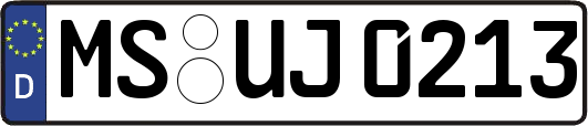 MS-UJ0213