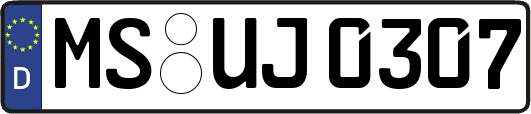 MS-UJ0307